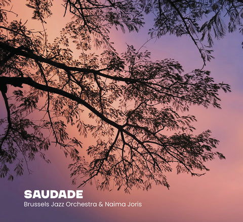 Presale EP Saudade with Naima Joris